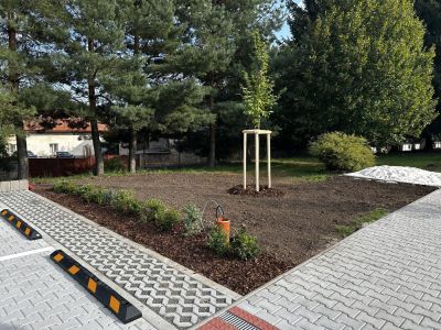 Parkoviště výsadba stromů