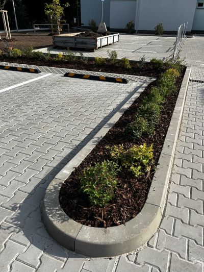 Parkoviště výsadba záhon